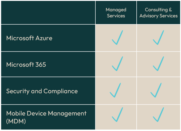 Microsoft capabilities