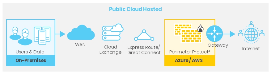 Public Cloud Hosted