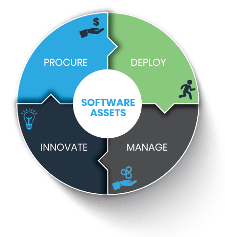 Software Assets